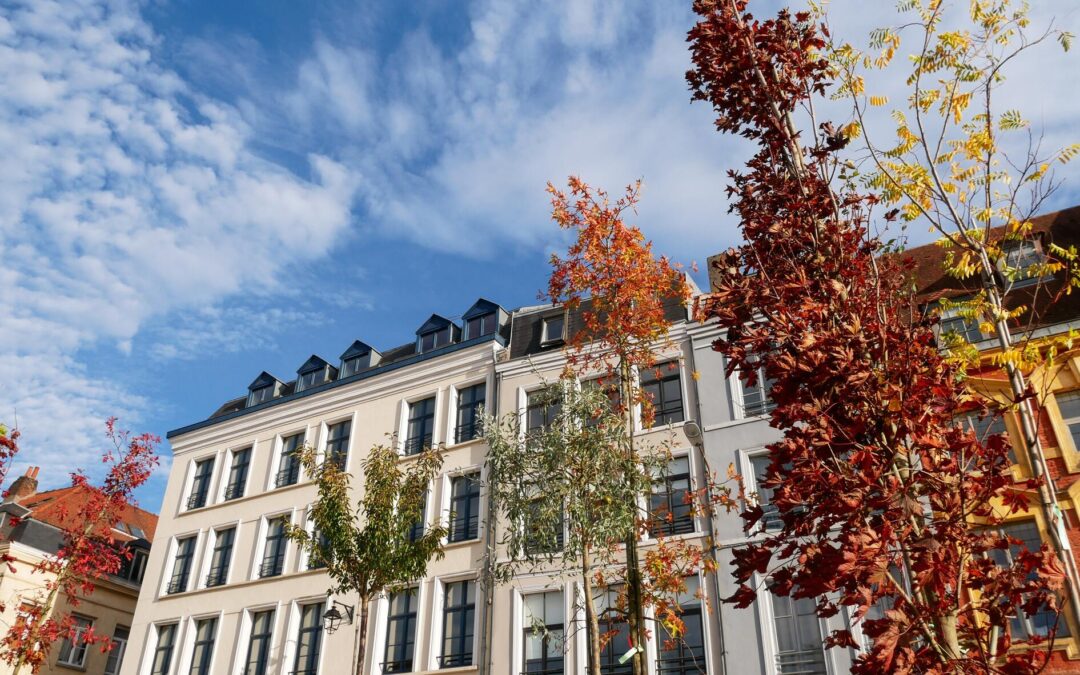 Le mois d’octobre est propice à l’entretien de vos espaces verts !