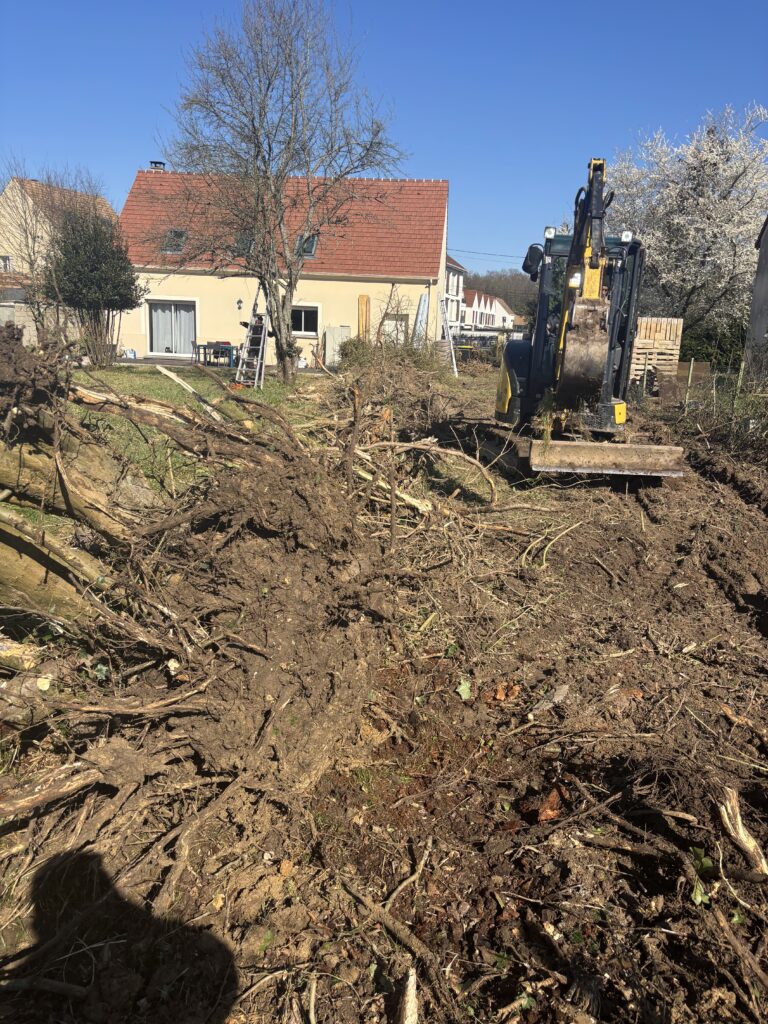 Renard - Pendant le travail de dessoussage d'arbres - Engin de chantier nécessaire - 77 Seine et Marne - Villeneuve Saint Denis Renard - Pendant le travail de dessoussage d'arbres - Engin de chantier nécessaire - 77 Seine et Marne - Villeneuve Saint Denis