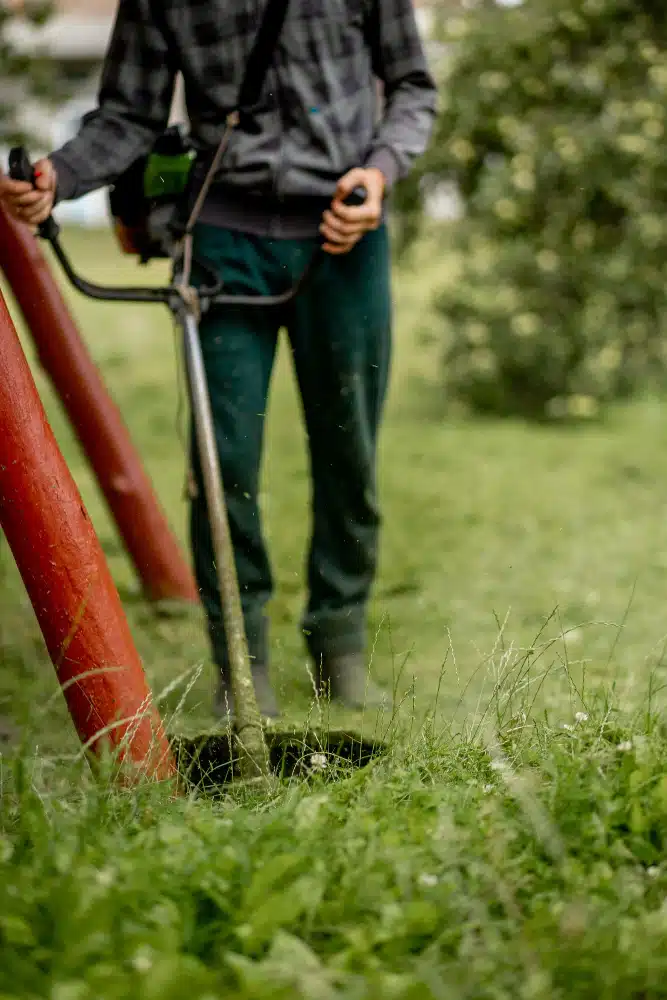 Débroussaillage d’un terrain envahi par la végétation à Meaux