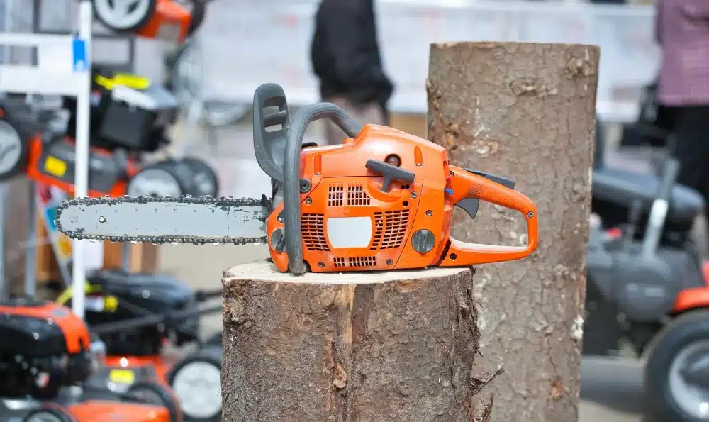 Tronçonneuse professionnelle utilisée par Renard Élagage pour l'abattage d'un arbre à Marne-la-Vallée
