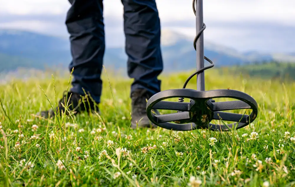Renard Élagage en train de débroussailler un terrain dans la Marne-la-Vallée